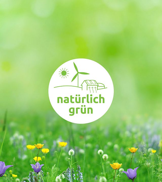 natürlich grün  Umfassendes Corporate Design für den grünen Stromanbieter 